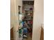 Pantry with metal shelves, door storage and a variety of food items at 225 Dogwood St, Henderson, NV 89015