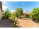Beautiful backyard has brick pavers and landscaping that offers serenity and space at 2373 Ozark Plateau Dr, Henderson, NV 89044