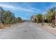 Scenic driveway with a view of the home nestled among desert vegetation and mature trees at 2780 Avenue Of The Stars, Pahrump, NV 89060