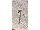 Outdoor faucet on a stucco wall, providing easy access for watering and maintenance at 2780 Avenue Of The Stars, Pahrump, NV 89060