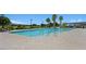 Community pool featuring crystal-clear blue water, palm trees, and lounge chairs at 4450 E Brusca Ct, Pahrump, NV 89061