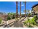 Expansive backyard featuring mature palm trees, gravel landscaping, and a brick perimeter wall for added privacy at 6521 Faith Peak Dr, Las Vegas, NV 89108