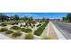 Desert landscaping along paved streets in the community with mature trees and shrubs at 11856 Barona Mesa Ave, Las Vegas, NV 89138