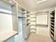 Well-organized walk-in closet featuring custom shelving, hanging racks, and storage at 2035 E Warm Springs Rd # 1017, Las Vegas, NV 89119