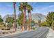 Scenic street view featuring lush palm trees and a beautiful mountain backdrop on a sunny day at 2801 Byron Dr, Las Vegas, NV 89134