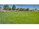 Enjoy community living with open green spaces and well-maintained lawns under a clear blue sky at 3088 Paseo Mountain Ave, Henderson, NV 89052