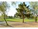 Lush green golf course view featuring mature trees and manicured grounds, creating a serene outdoor setting at 7232 Vista Bonita Dr, Las Vegas, NV 89149