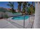 A refreshing swimming pool in a private backyard is surrounded by mature palm trees at 185 Camrose St, Henderson, NV 89074