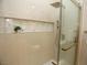 Close-up of a modern shower with a decorative niche and glass door at 2623 Red Planet St, Henderson, NV 89044
