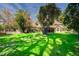 Spacious backyard with lush green lawn, mature trees, and room for outdoor activities at 3141 E Katie Ave, Las Vegas, NV 89121