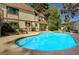 Private backyard pool with patio seating, perfect for relaxing and entertaining at 3141 E Katie Ave, Las Vegas, NV 89121