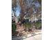 Backyard with mature trees and desert landscaping including a variety of large potted plants at 4727 Conrad St, Las Vegas, NV 89121