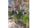 Desert landscaping including a variety of large potted plants in the backyard at 4727 Conrad St, Las Vegas, NV 89121