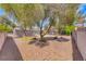 Backyard featuring xeriscape landscaping, mature trees and fenced perimeter for privacy at 5257 Sunbury Ave, Las Vegas, NV 89122