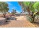 View of the home's backyard with desert landscaping, mature trees, and patio at 5257 Sunbury Ave, Las Vegas, NV 89122