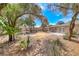 Backyard featuring desert landscaping, mature shade trees, and a concrete patio at 5257 Sunbury Ave, Las Vegas, NV 89122