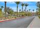 Community street lined with lush palm trees and colorful desert landscaping at 950 Seven Hills Dr # 1624, Henderson, NV 89052
