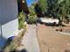 A front yard featuring desert landscaping, a large tree, and a concrete pathway at 1413 Bryn Mawr Ave, Las Vegas, NV 89102