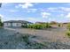 Expansive backyard featuring drought-resistant landscaping and a young vineyard, ready for your personal touch at 2261 Pampa Ave, Pahrump, NV 89048