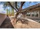 The backyard features desert landscaping, mature trees, and a covered patio at 2365 Black River Falls Dr, Henderson, NV 89044