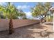 Spacious backyard featuring desert landscaping and mature trees for shade at 2365 Black River Falls Dr, Henderson, NV 89044