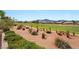 Backyard view of the lush green grass, desert landscaping and mountain views that surround this property at 2917 Golf Links Dr, Las Vegas, NV 89134