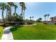 Expansive green space surrounded by mature palm trees and well-manicured landscaping at 3609 Indigo Flower St # 1, North Las Vegas, NV 89084