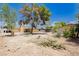 This backyard features large mature trees providing shade and space for outdoor enjoyment at 4205 Thicket Ave, North Las Vegas, NV 89031