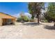 Spacious backyard with room to relax with mature trees, large shed, and potential for landscaping at 4205 Thicket Ave, North Las Vegas, NV 89031