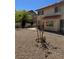 Backyard featuring desert landscaping, an outdoor patio and exterior views at 5024 Saint Annes Dr, Las Vegas, NV 89149