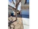View of the home's exterior showing the attached garage and landscaping at 8149 Palace Monaco Ave, Las Vegas, NV 89117