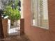 Side yard with textured stucco, mature tree, and gate to shared space at 9937 La Paca Ave, Las Vegas, NV 89117