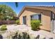 Backyard view showing a sliding glass door entrance, small patio, and minimal landscaping at , North Las Vegas, NV 89084