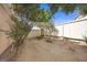 A backyard with minimal landscaping presents a blank canvas for customization, ready for your landscaping vision at 10468 Concetta Ave, Las Vegas, NV 89129