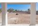 View of backyard from patio with desert landscaping, perfect for outdoor living at 1227 San Gabriel Ave, Henderson, NV 89002