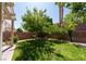 Serene backyard with a grass lawn and plenty of shade at 1371 Cumulus Ct, Henderson, NV 89014
