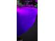 An in-ground pool with purple LED lighting creating a vibrant and relaxing ambiance at 1913 Madagascar Ln, Las Vegas, NV 89117