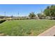 Open grassy area with manicured landscaping, offering a serene community space for relaxation and leisure at 209 Bellini Peak Ave, Henderson, NV 89011