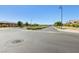 A well maintained streetscape features lush landscaping and lighting at 209 Bellini Peak Ave, Henderson, NV 89011