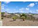 Scenic backyard featuring low-maintenance landscaping and panoramic views of the mountains at 2453 Vivid Sky Pl, Henderson, NV 89044