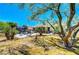Expansive backyard featuring a patio area, mature trees, and landscaping at 5236 Krista Alethea St, North Las Vegas, NV 89031