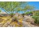 Landscaped backyard with decorative stone path, patio with trampoline and seating, and mature shade trees at 5236 Krista Alethea St, North Las Vegas, NV 89031