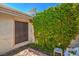 Cozy backyard space featuring climbing vines and a small patio area, perfect for relaxing outdoors at 5713 Whiteridge Ave, Las Vegas, NV 89107