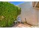 This backyard space features a stone paver patio and climbing vines, ideal for outdoor enjoyment at 5713 Whiteridge Ave, Las Vegas, NV 89107