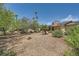 Expansive backyard with lush landscaping and mature trees offering shade and natural beauty for relaxation at 6315 Eldora Ave, Las Vegas, NV 89146