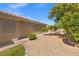 Low-maintenance side yard featuring drought-resistant landscaping with mature trees and gravel accents, enhancing curb appeal at 7411 Brittlethorne Ave, Las Vegas, NV 89131