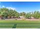 Expansive backyard with lush landscaping, mature trees, and partial shade, perfect for outdoor entertaining at 3330 Wedo Way, North Las Vegas, NV 89031