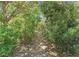 Gravel path through lush greenery and mature trees at 3330 Wedo Way, North Las Vegas, NV 89031