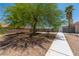 A serene yard with mature trees offers shade and a tranquil atmosphere near a paved walkway and a block wall at 475 E Robindale Rd, Las Vegas, NV 89123