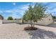 Landscaped backyard featuring gravel, mature tree, and covered patio area at 6204 Robin Hood Cir, Las Vegas, NV 89108